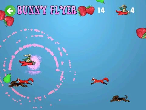 Bunny Flyer Bunny Flyer