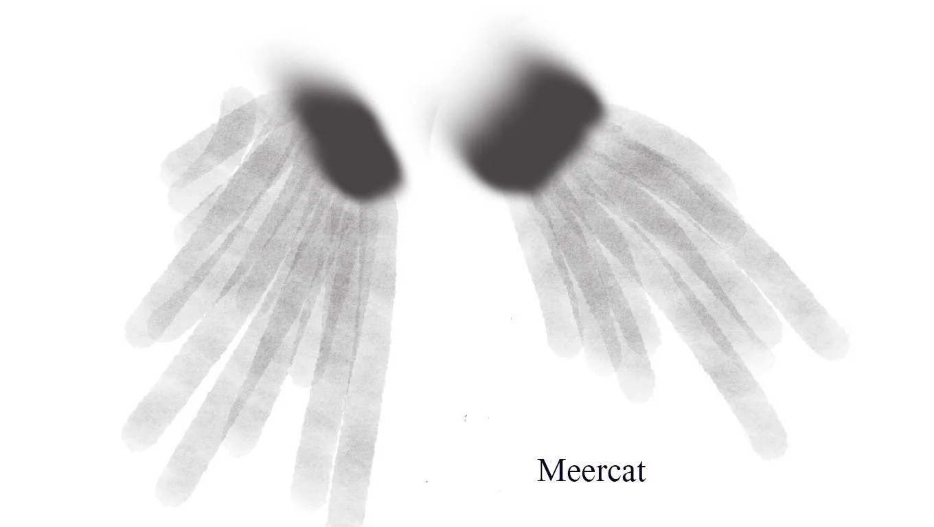 Meercat (itch) Meercat (itch)