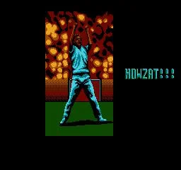 Статьи по International Cricket