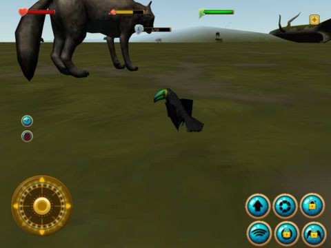 Toucan Simulator 3D Toucan Simulator 3D