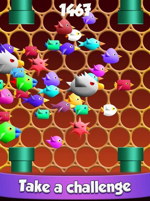 Cool Birds Game - Fun Smash Cool Birds Game - Fun Smash