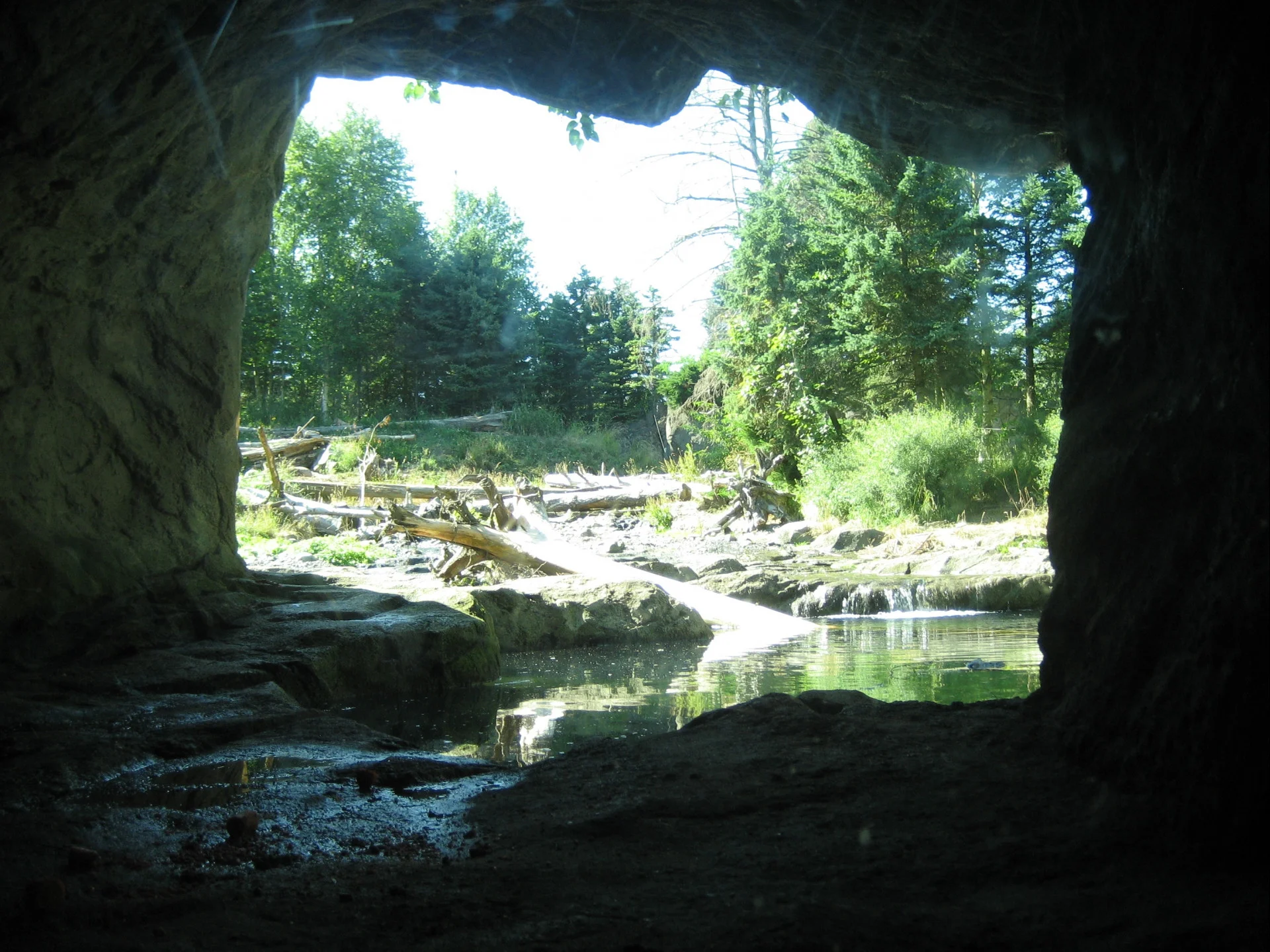 Opals Cave (itch)