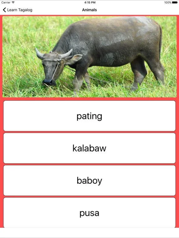 Learn Tagalog - Flashcards for Kids