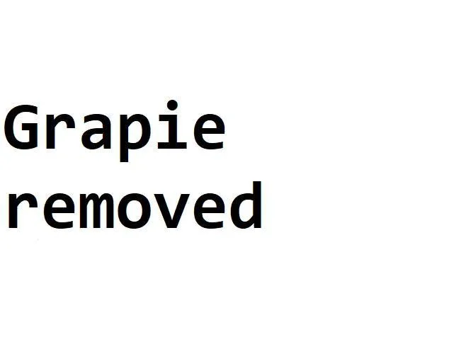 Grapie.lemon (itch) Grapie.lemon (itch)