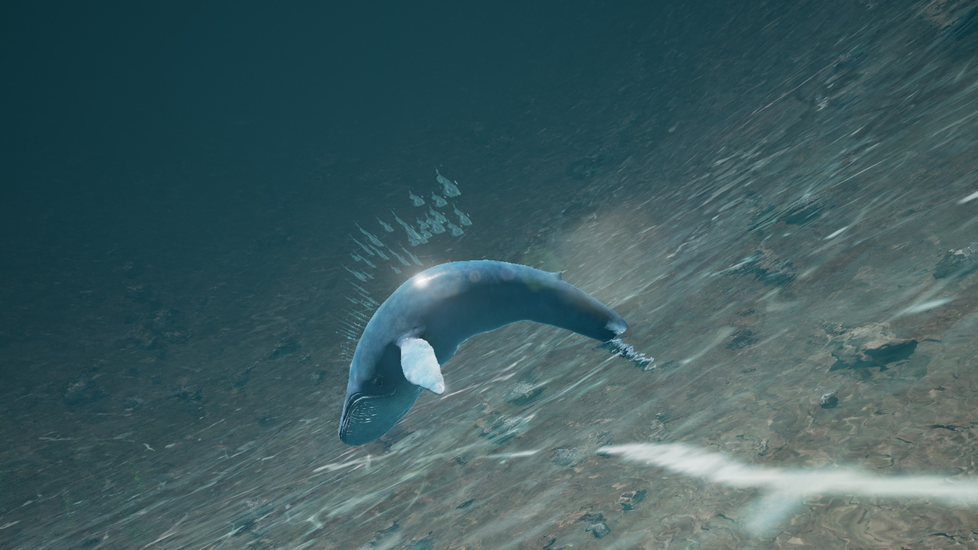 Inner Sea (itch) Inner Sea (itch)