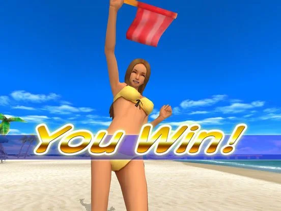 Beach Flag Paradise Beach Flag Paradise