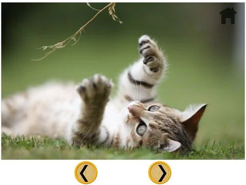 Рецензии prodigious cats for kids - free
