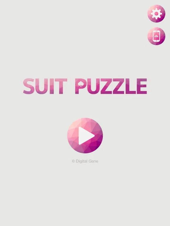 Suit Puzzle Suit Puzzle