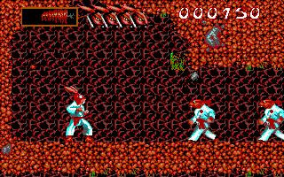 Ninja Rabbits Ninja Rabbits