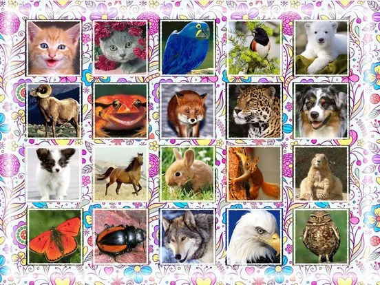 Puzzle game kids age 2-3 years Puzzle game kids age 2-3 years