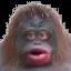 MONKE LIFE SIMULATOR (itch) MONKE LIFE SIMULATOR (itch)