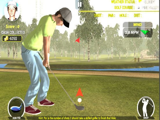 Golf Simulator 2017 Golf Simulator 2017