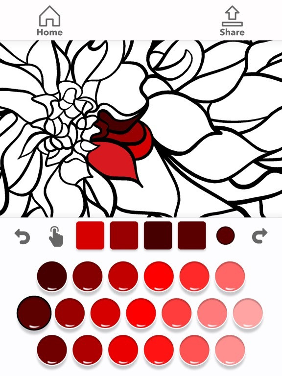Color Draw: Coloring Book