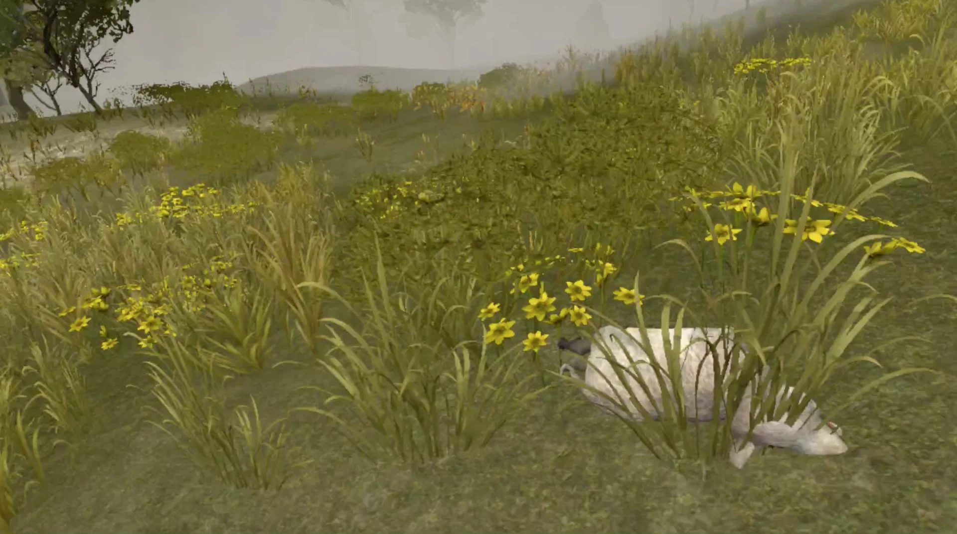 Wild Game Hunter VR Wild Game Hunter VR