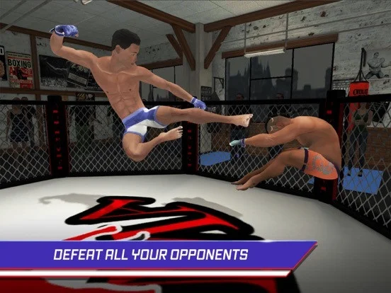 MMA Fighting 3D MMA Fighting 3D