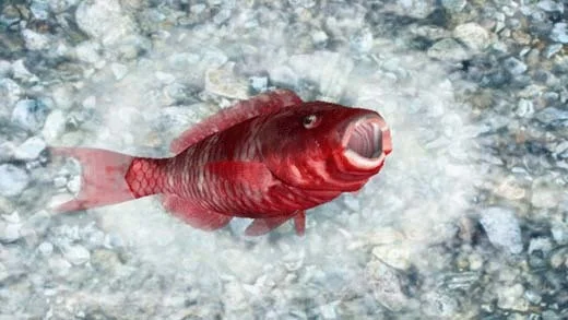 Reel Fishing Ocean Challenge Reel Fishing Ocean Challenge