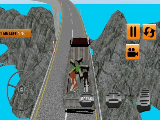 Рецензии Animal Cargo Truck 3D