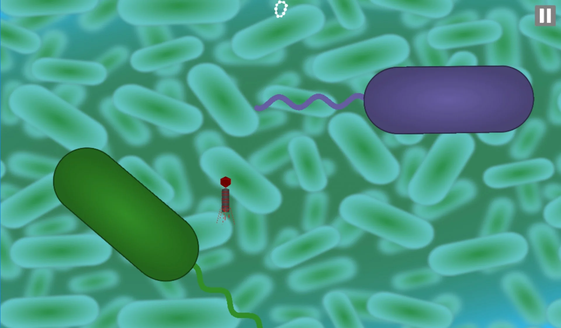 Статьи по Bacteriophage (itch)