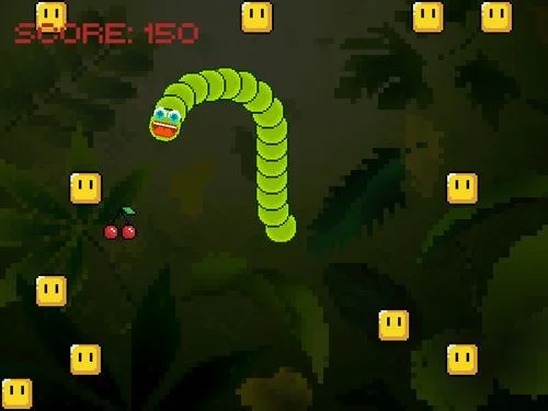 Snake cherry (itch) Snake cherry (itch)