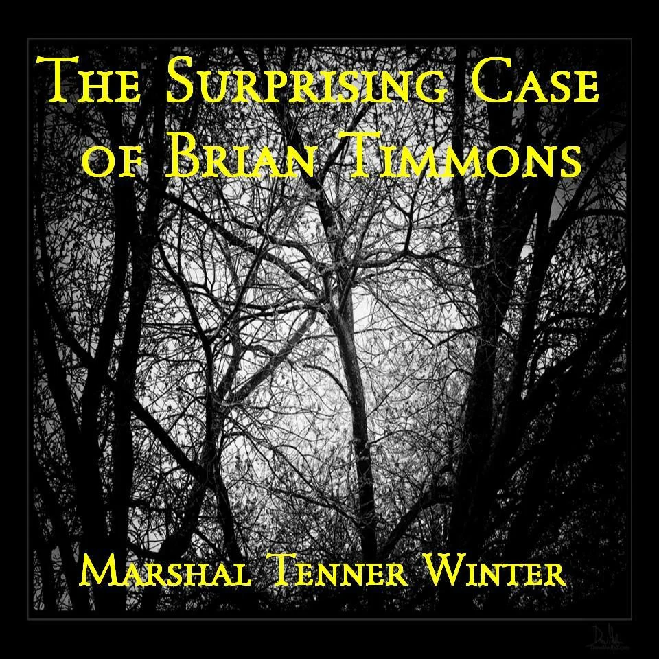 The Surprising Case of Brian Timmons (itch)