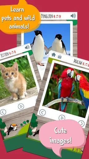 Kids Zoo Game: Preschool Kids Zoo Game: Preschool