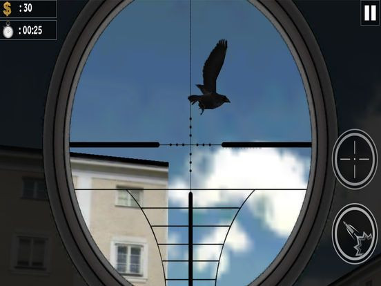 Real City Attack Crow Hunting