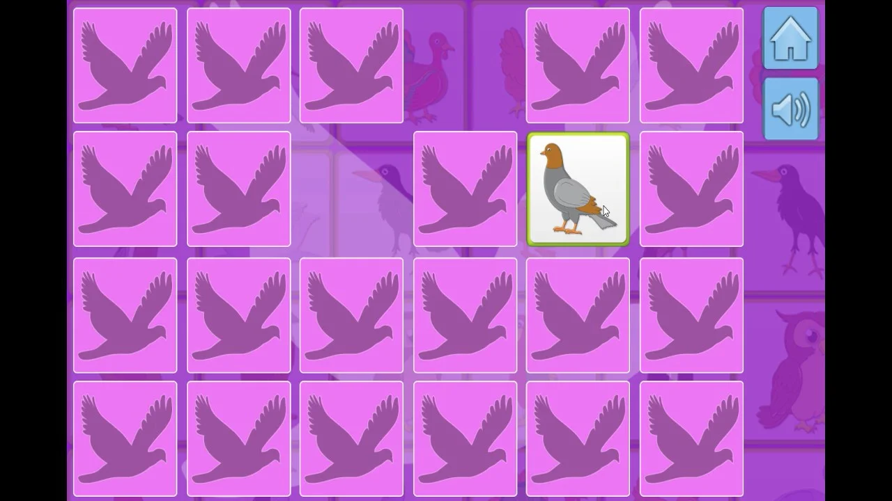 Bird Memory Bird Memory