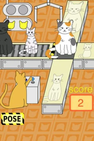 Cat Classification