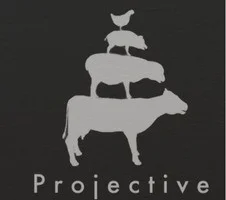 Projective (itch)