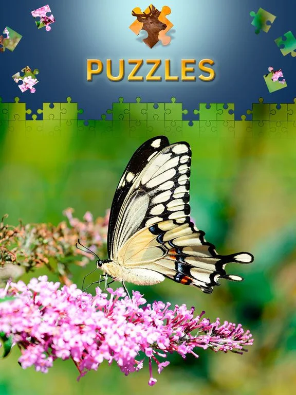 Статьи по Animals Jigsaw Puzzles 2017