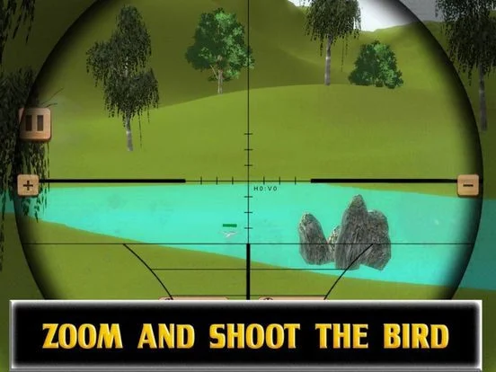 Forest Shoot Flying Birds Forest Shoot Flying Birds