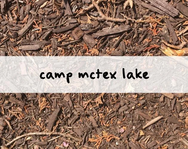 Camp McTex Lake (itch) Camp McTex Lake (itch)