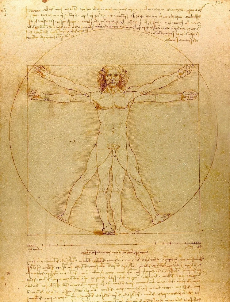 Da Vinci's Man (itch) Da Vinci's Man (itch)