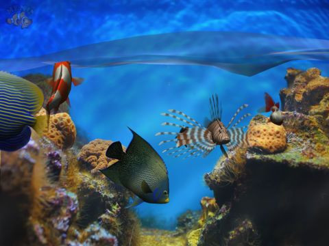 Статьи по Fish Fingers! 3D Interactive Aquarium FREE