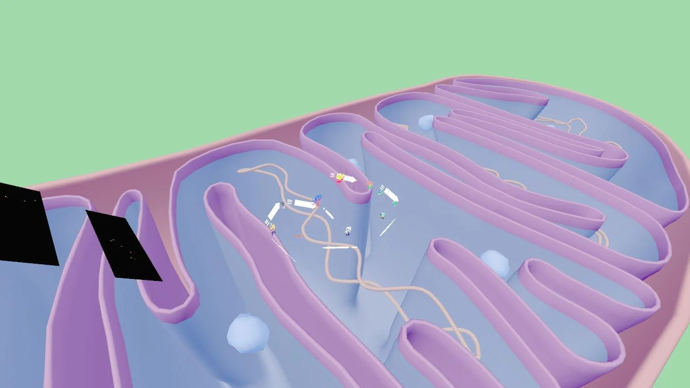 Статьи по Glycolysis pathway (itch)
