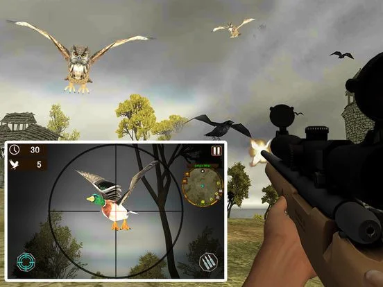 Island Bird Hunting: Shooter Survival Island Bird Hunting: Shooter Survival
