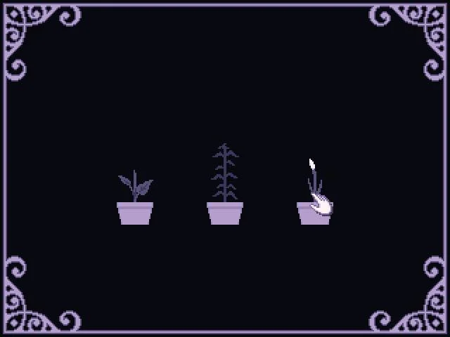 Lavender (itch)