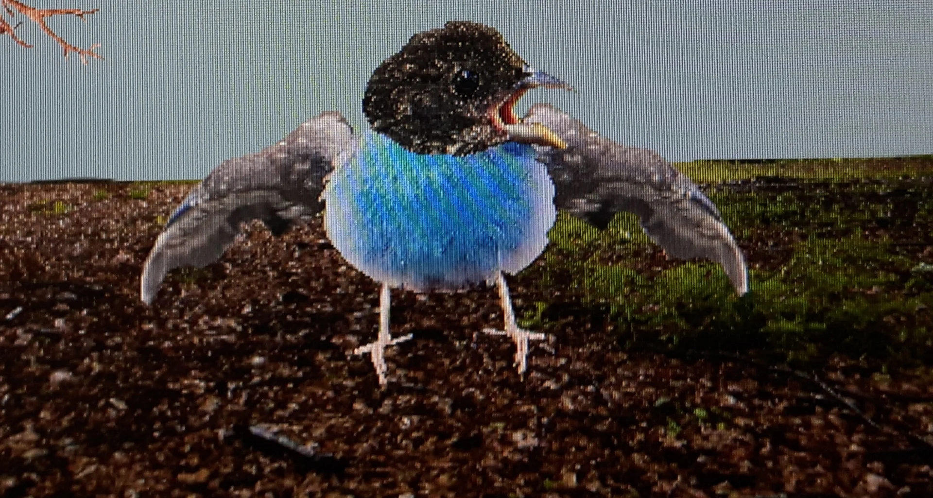 Life Sucks And You're A Bird (itch) Life Sucks And You're A Bird (itch)