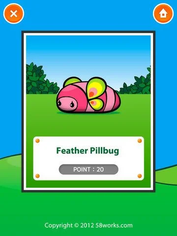 PILLBUG COLLECTION PILLBUG COLLECTION