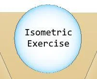 Статьи по Isometric Exercise (itch)