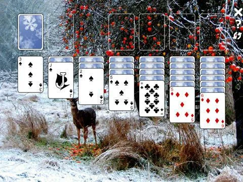 Winter Solitaire - Patience! Winter Solitaire - Patience!