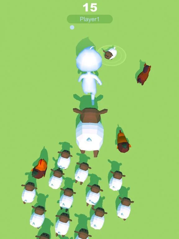 animal.io animal.io