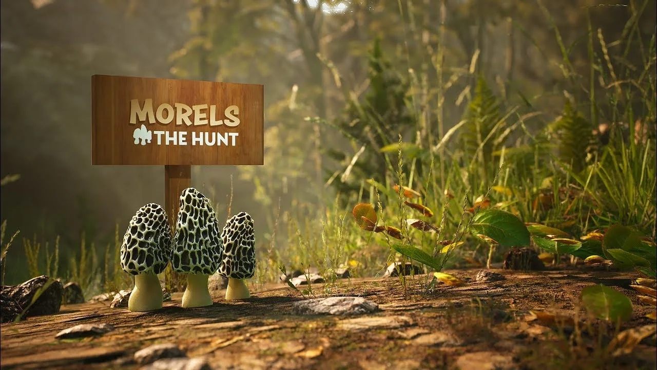 Статьи по Morels: The Hunt