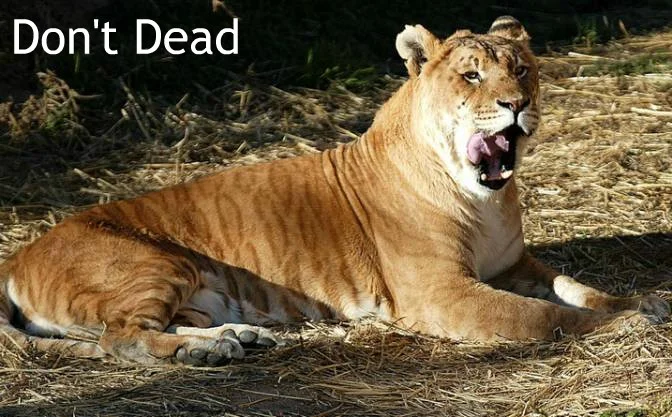 Don't Dead (itch) Don't Dead (itch)