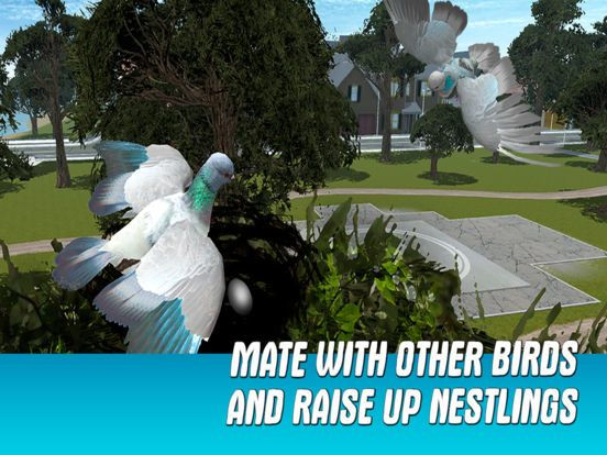 Статьи по City Pigeon Simulator 3D