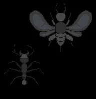 Formiga e Vespa (itch) Formiga e Vespa (itch)