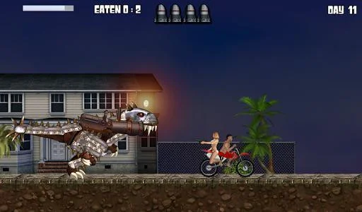 Miami Rex Miami Rex