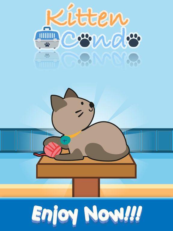 Kitten Condo Town Kitten Condo Town