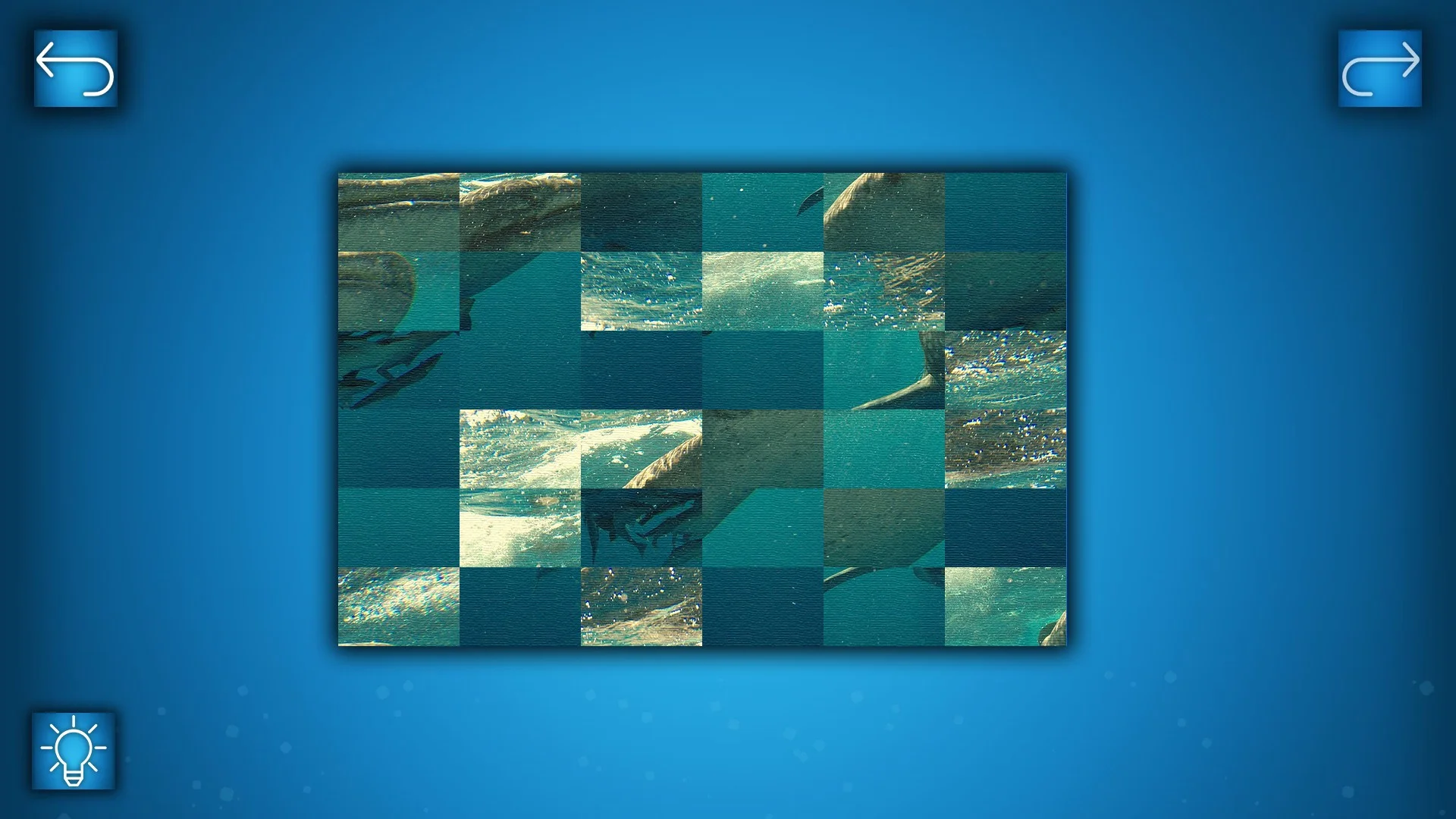 PUZZLE: OCEAN PUZZLE: OCEAN