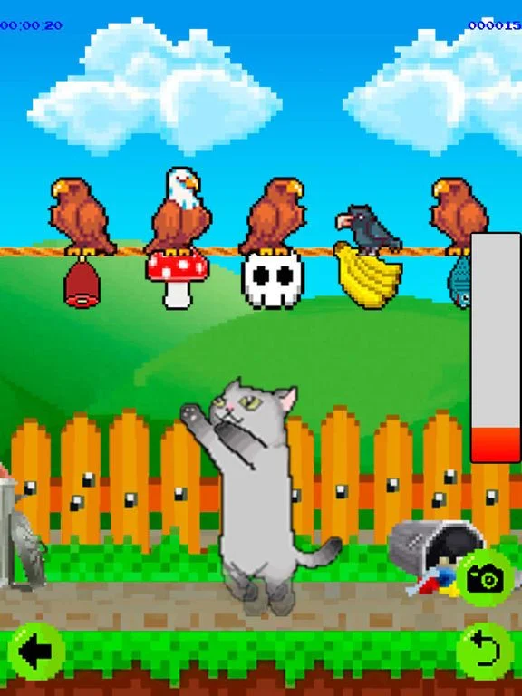 Longcat Adventures